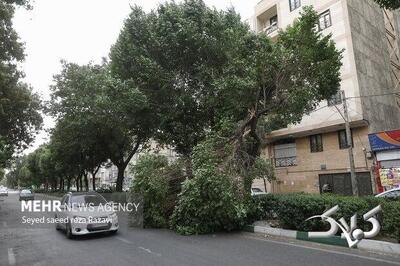 سرعت وزش باد در اردبیل به ۱۰۰ کیلومتر برساعت می‌رسد - مجله اینترنتی کولاک