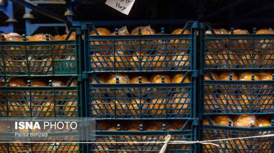 میوه شب عید دو برابر سال قبل ذخیره شد - مردم سالاری آنلاین