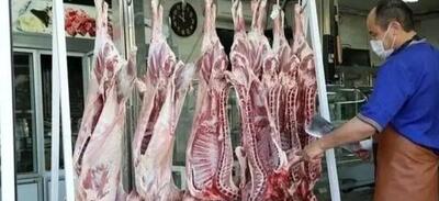عرضه گوشت ارزان‌ از امروز