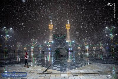 عکس/ برف شادی در حرم علی ابن موسی الرضا