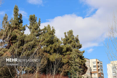 هوای اصفهان ناسالم شد