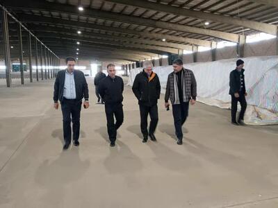  بازدید سرپرست اقتصادی استانداری کرمانشاه از انبار کالا