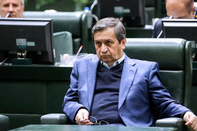 مهاجرانی: همتی با نظر خبرگان بانکی رئیس بانک مرکزی شد