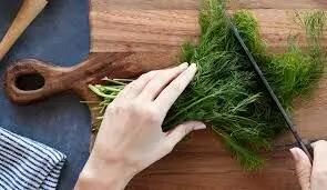  کالری و ارزش غذایی شوید خشک و تازه چقدر است ؟