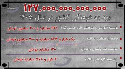 بودجه های جنجال برانگیز نهادها چقدر است؟