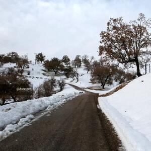  از فلامینگو های دریاچه مهارلو تا منطقه سفید پوش شده بلوط بلند دهدز خوزستان