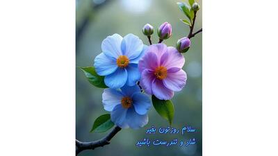  فال ابجد واقعی 10 دی / فیلم