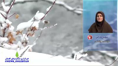 پیش بینی وضعیت آب و هوا گلستان فردا پنجشنبه ۱۱ دی ۱۴۰۴ + هواشناسی گلستان فردا + وضعیت هوای فردا گرگان