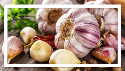  سیر علائم سرماخوردگی را کاهش میدهد؟
