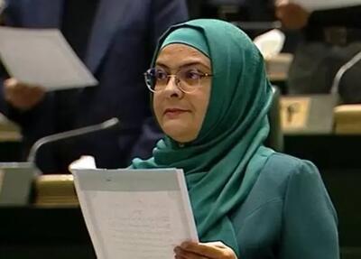 گفت‌وگوی مجتبی ذوالنور با نماینده زن زرتشتیان در مجلس + عکس