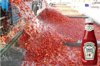 دانستنی ها؛ کچاپ چطور ساخته می‌شه؟