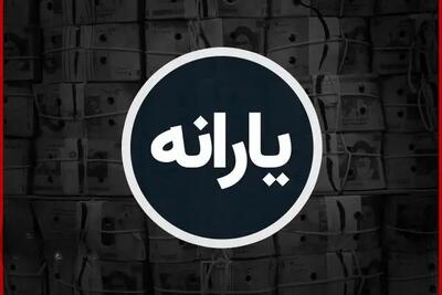 یارانه جدید دولت؛ ۷۰۰ هزار تومان برای هر نفر از دی‌ماه