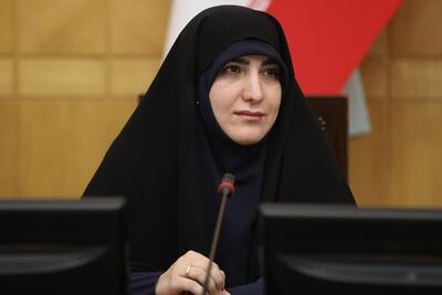 نماینده تهران: مطرح شدن نام همتی برای ریاست بانک مرکزی، دهن‌کجی کم‌سابقه به مجلس است + فیلم