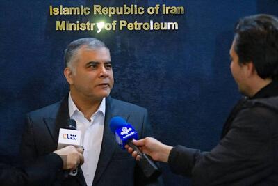  مشارکت پتروشیمی‌ها در توسعه میادین گازی، کلید تأمین پایدار خوراک