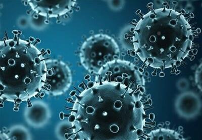 کاهش ابتلا به آنفلوانزا در کرمانشاه؛ خطر ‌‌پایان نیافته است - تسنیم