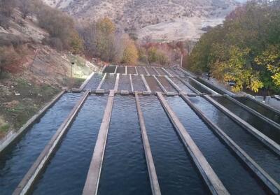 10 همت سرمایه‌گذاری جدید در راه توسعه آبزی‌پروری لرستان - تسنیم