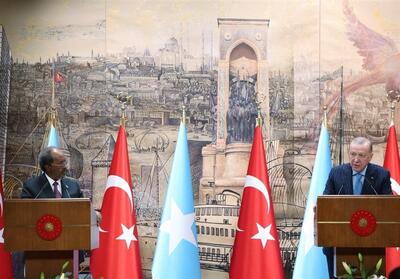 اردوغان: تصمیم اسرائیل درباره سومالی‌لند نامشروع و غیرقابل قبول است - تسنیم