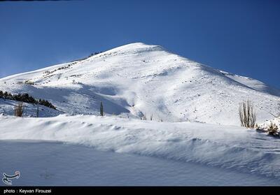 «برف» سقز را زمین‌گیر کرد - تسنیم