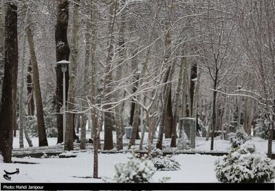 سرمای شدید در راه اصفهان؛ دما تا 12 درجه کاهش می‌یابد - تسنیم