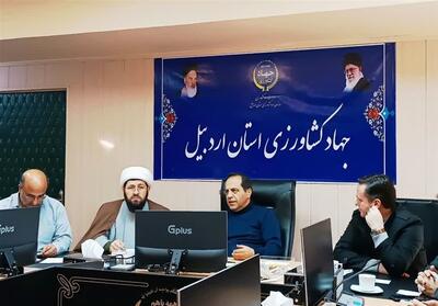 توسعه پایدار کشاورزی با همکاری جمعی میسر است - تسنیم