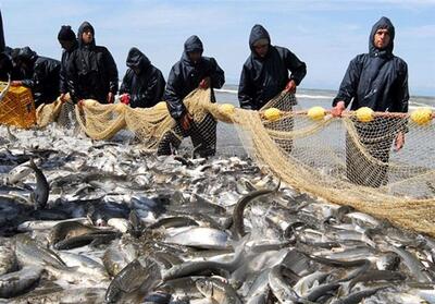 سهم یک درصدی ایران‌ از تولیدات آبزی‌پروری ‌قاره آسیا - تسنیم