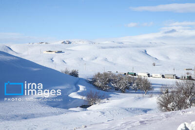 برف و کولاک در کردستان