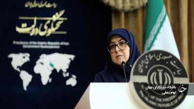 سخنگوی دولت: همتی با نظر خبرگان بانکی رئیس بانک مرکزی شد