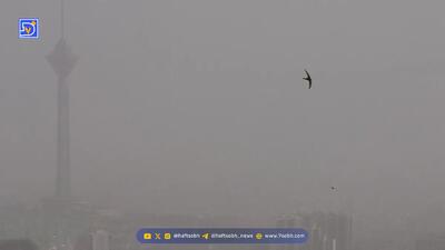 شاخص آلودگی هوای تهران پنجنشنبه 11 دی / بازگشت آلودگی به آسمان پایتخت