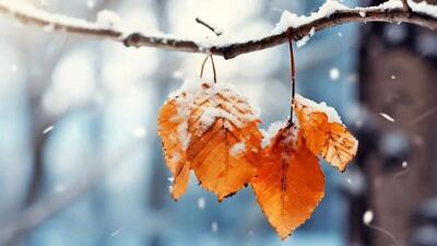  پیش‌بینی بارش پراکنده باران و برف در خوزستان