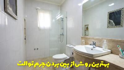  بهترین روش از بین بردن جرم توالت فرنگی و کاشی و سنگ دستشویی