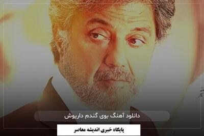  دانلود آهنگ بوی گندم داریوش با کیفیت بالا و متن کامل | اندیشه قرن