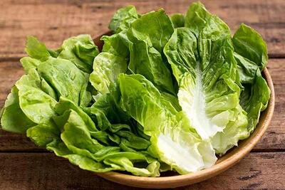 نیترات کاهو بیشتر در کدام بخش قرار دارد؟ / راهنمای مصرف کاهو سالم؛ بیشترین میزان نیترات در کدام قسمت است؟