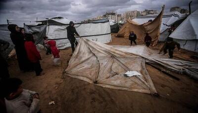  زنگ خطر شیوع یک اپیدمی مرگبار در غزه