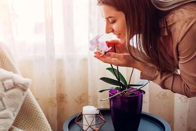  چگونه به روش طبیعی خوش‌بو بمانیم؟ / ۱۱ توصیه کلیدی