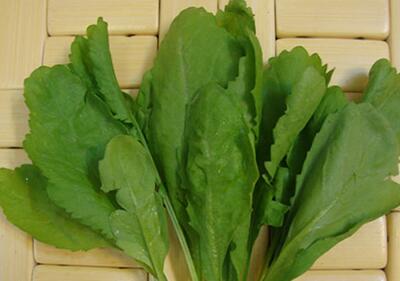 خواص درمانی سبزی شاهی و هشدارهای مصرف آن