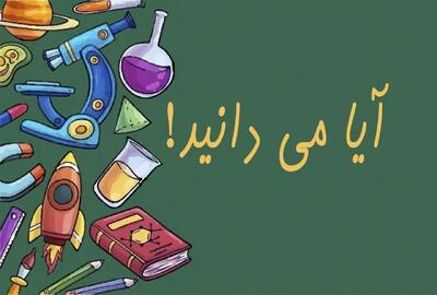 آیا می دانید: حقایق شگفت انگیز درباره ایران، هوش و جهان