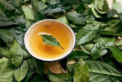 چای برگ بو معجزه ای برای درمان آرتروز لگن