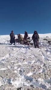 ببینید/ این پهپاد مرموز زمین‌گیر شد