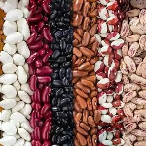 خطر بحران‌های ارزی برای بازار حبوبات