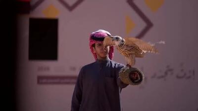  جشنواره شاهین‌بازی در عربستان