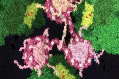 داروهای جدیدی که سرطان را میخکوب می کنند