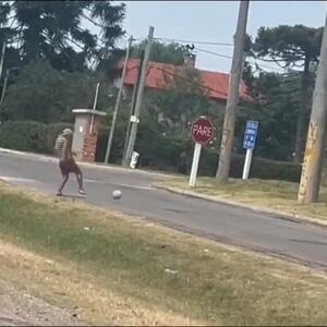 ویدئو: فرمول ساده شادی در برزیل؛ یک توپ و دیگر هیچ