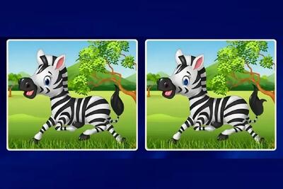 بازی فکری؛ باهوش، حاضری تفاوت گورخرهای راه‌راه رو کشف کنی؟!