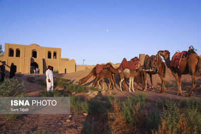  شفیع‌آباد شهداد، بهترین روستای گردشگری جهان ۲۰۲۵