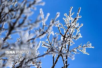  تداوم یخبندان در البرز