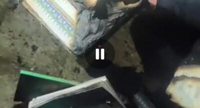 اغتشاشگران در همدان قرآن را به آتش کشیدند | جهان نیوز