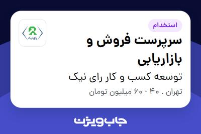 استخدام سرپرست فروش و بازاریابی در توسعه کسب و کار رای نیک