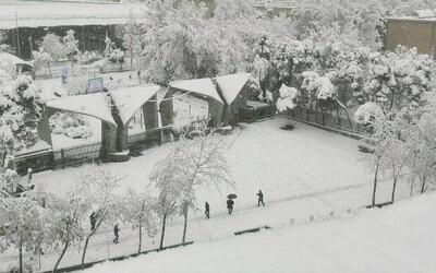  اختلال در شهر؛ شور در دانشگاه