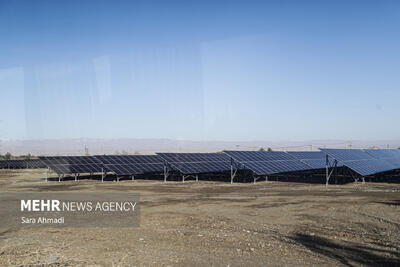 افتتاح بزرگترین مزرعه خورشیدی دولت در مشهد