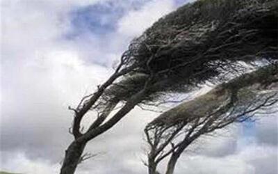  تندباد ۹۴ کیلومتری اردبیل را در نوردید